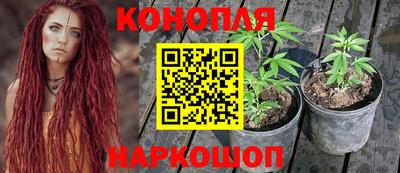 гидропоника Краснознаменск