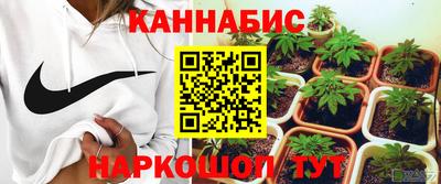 крисы Краснодар
