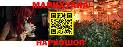 крисы Краснодар