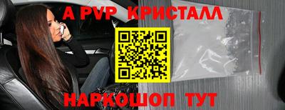 крисы Краснодар