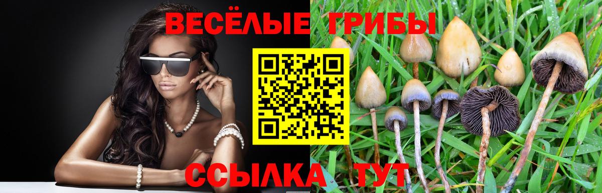 Галлюциногенные грибы Magic Shrooms Кингисепп