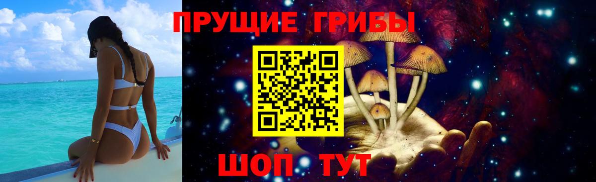 Кингисепп  Галлюциногенные грибы Magic Shrooms  Псилоцибиновые грибы Psilocybe  Вход с VPN 